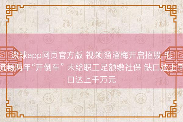 滚球app网页官方版 视频|溜溜梅开启招股 毛利率流畅两年“开倒车” 未给职工足额缴社保 缺口达上千万元