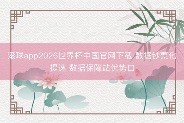 滚球app2026世界杯中国官网下载 数据钞票化提速 数据保障站优势口