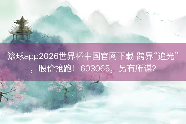滚球app2026世界杯中国官网下载 跨界“追光”，股价抢跑！603065，另有所谋？
