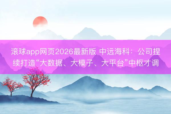 滚球app网页2026最新版 中远海科：公司捏续打造“大数据、大模子、大平台”中枢才调