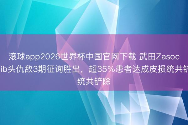 滚球app2026世界杯中国官网下载 武田Zasocitinib头仇敌3期征询胜出，超35%患者达成皮损统共铲除