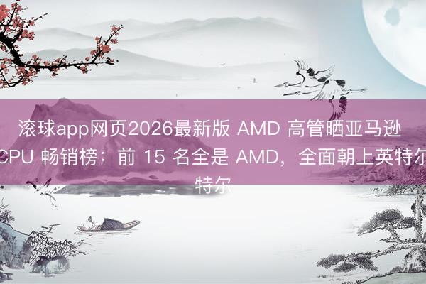 滚球app网页2026最新版 AMD 高管晒亚马逊 CPU 畅销榜：前 15 名全是 AMD，全面朝上英特尔
