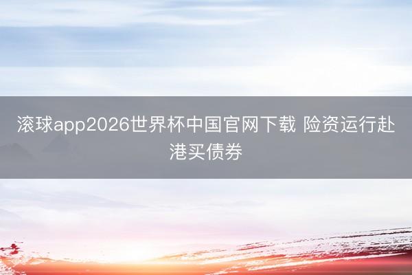 滚球app2026世界杯中国官网下载 险资运行赴港买债券