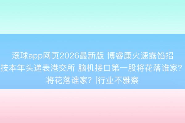 滚球app网页2026最新版 博睿康火速露馅招股书 强脑科技本年头递表港交所 脑机接口第一股将花落谁家？|行业不雅察