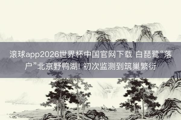 滚球app2026世界杯中国官网下载 白琵鹭“落户”北京野鸭湖! 初次监测到筑巢繁衍