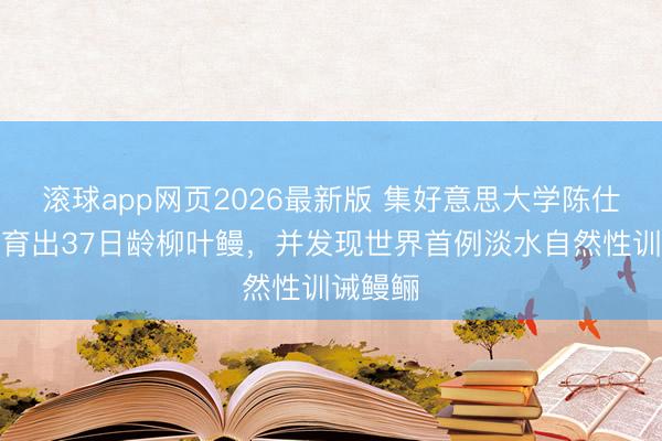 滚球app网页2026最新版 集好意思大学陈仕玺团队育出37日龄柳叶鳗，并发现世界首例淡水自然性训诫鳗鲡